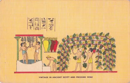 VINTAGE IN ANCIENT EGYPT AND PRESSING WINE -802988
