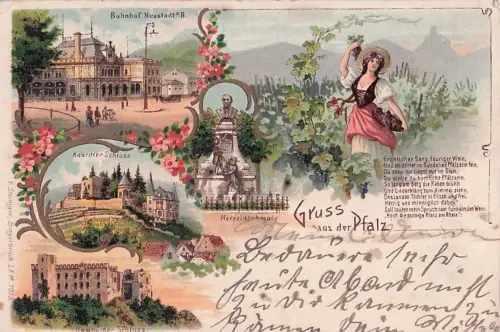 Gruss aus der Pfalz -803066