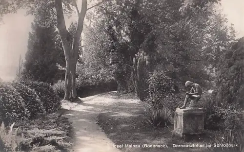 Mainau Dornauszieher Schlosspark Kat. Konstanz -803202