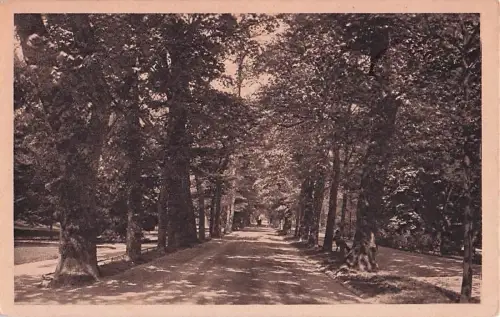 BADEN-BADEN Lichtentaler Allee -803256