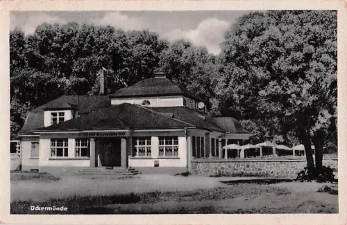 AK Ueckermünde HOG im Stadtpark -803200