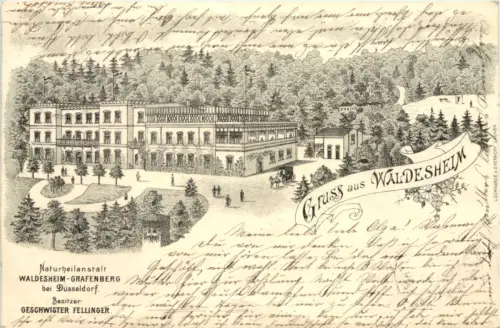 Gruss aus Waldesheim bei Düsseldorf - Litho vorläufer -622926