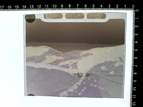 Münstertal/Schwarzwald -