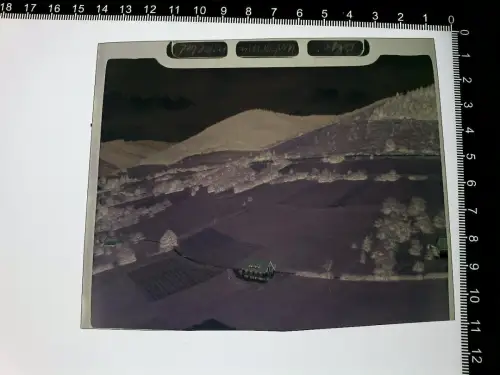 Münstertal/Schwarzwald -