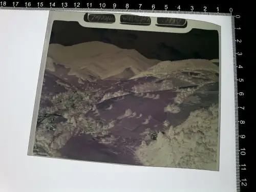 Münstertal/Schwarzwald -