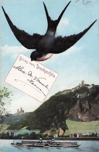 Gruss vom Drachenfels. -803300
