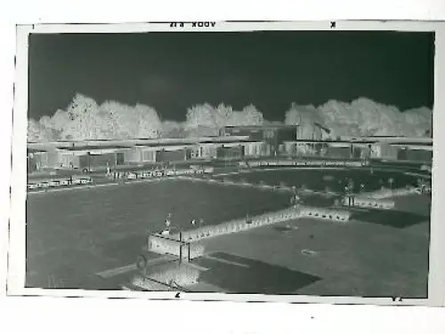 Bergen (Kreis Celle) -