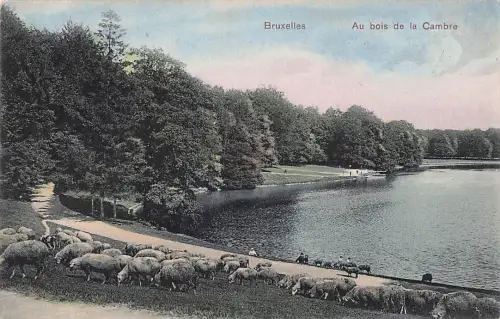Bruxelles Au bois de la Cambre -803684