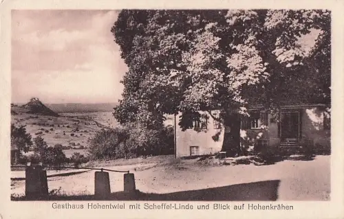 Singen Hohentwiel - Scheffellinde -803854