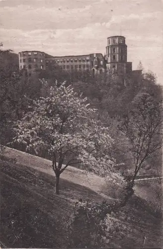 Ansichtskarte Heidelberg Neckar Schloss Scheffelterrasse Kat. Heidelberg -804002