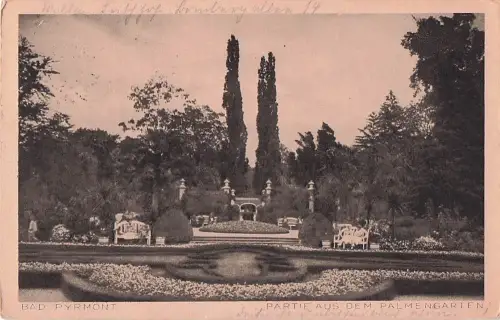 AK Bad Pyrmont Partie aus dem Palmengarten -803936