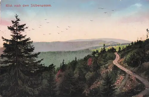 Blick nach dem Stübenwasen. -803914