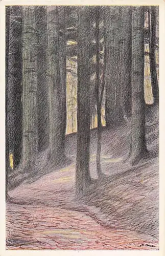 Waldpartie aus Naturpark Bohrertal zur Villen-Ansiedelung Küchlin'sches Gelände bei Freiburg i. Brg. -804052