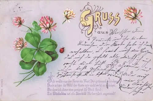 Marienkaefer Gruss aus -804350