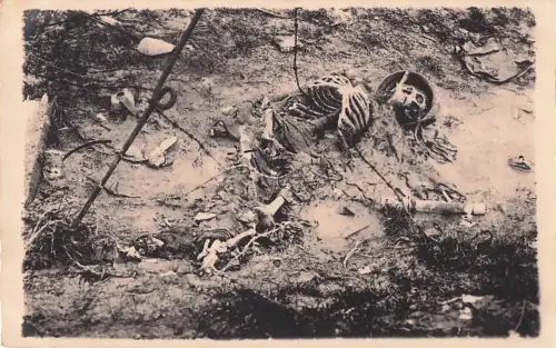 Antike Fotopostkarte mit Militärleichen aus dem Ersten Weltkrieg -804940