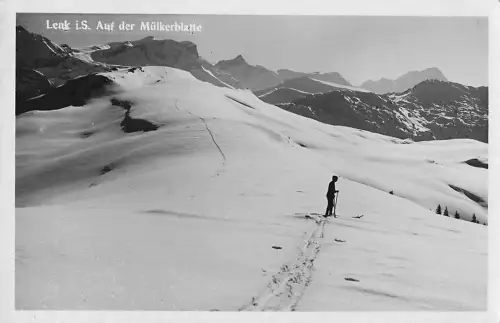 Lenk i.S. Auf der Mülkerblatte -805250