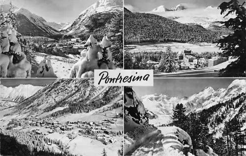 Pontresina Kat. Pontresina -805240