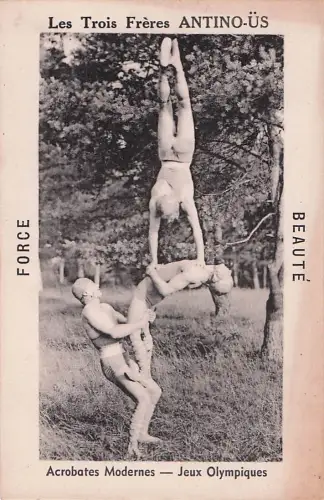 „Les Trois Frères ANTINO-ÜS -805558