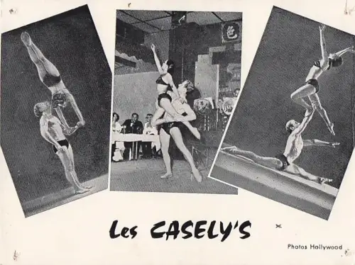 ALLIER - Vichy - Bellerive - 5, rue Ramin - Les Casely's -805564