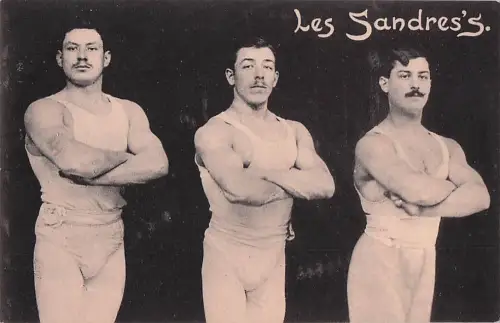 Les Sandres's -805528