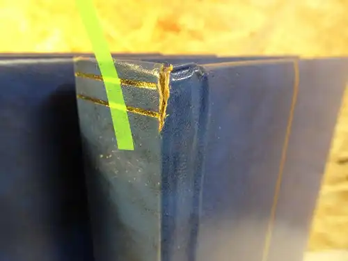 2 Einsteckbücher mit 48 weißen Seiten blau (26318)