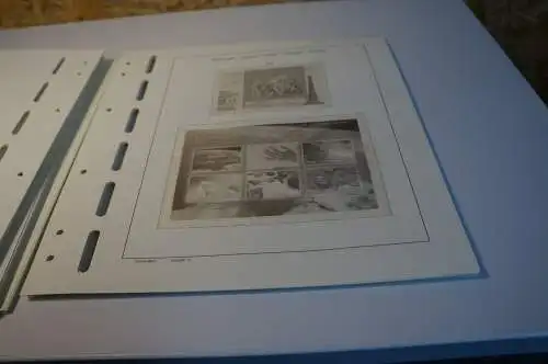 Russland Vordruck 2000-2005 Schaubek falzlos (31869)