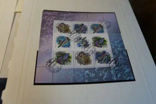 Russland 8 Kleinbogen aus 1993 gestempelt (31890H)