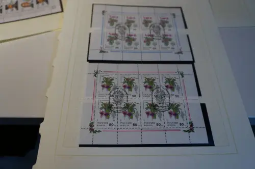 Russland 8 Kleinbogen aus 1993 gestempelt (31890H)