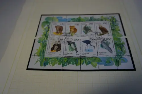 Russland 8 Kleinbogen aus 1993 gestempelt (31890H)
