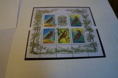 Russland 6 Kleinbogen aus 1995 gestempelt (31892H)