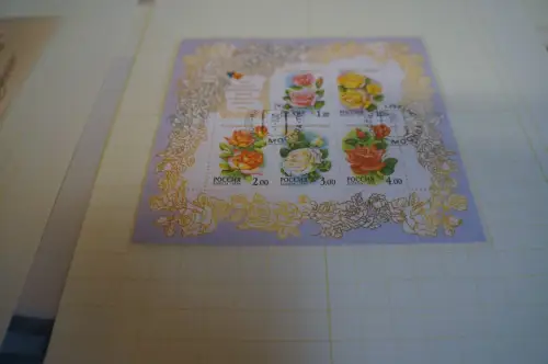 Russland 8 Kleinbogen aus 1999 gestempelt (31896H)