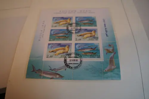 Russland 7 Kleinbogen aus 2003 gestempelt (31900H)