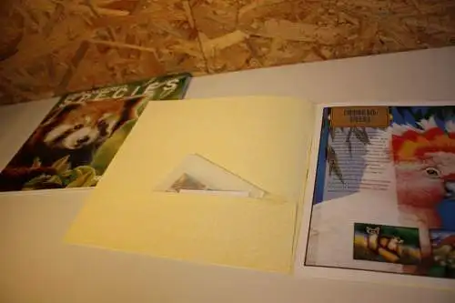 UNO Gefährdete Arten 1993-1998 Folder (31950)