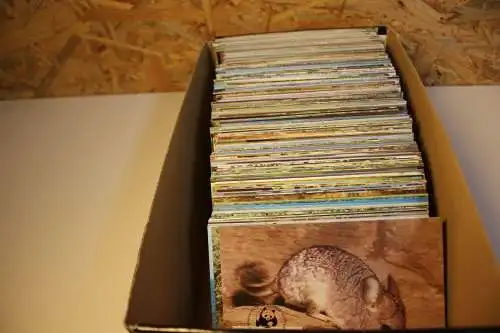 WWF 140 Kapitel Maximumkarten (=560 Karten) (32694)