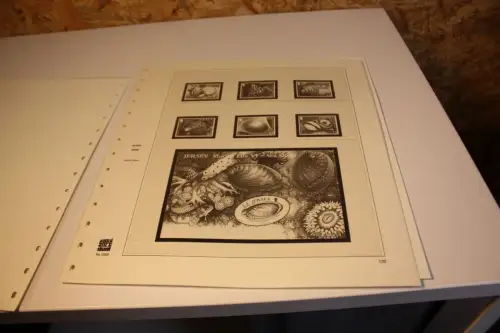 Jersey Safe Dual 2006 (33012)