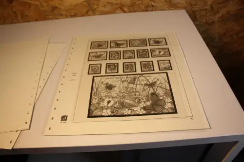 Jersey Safe Dual 2006 (33012)