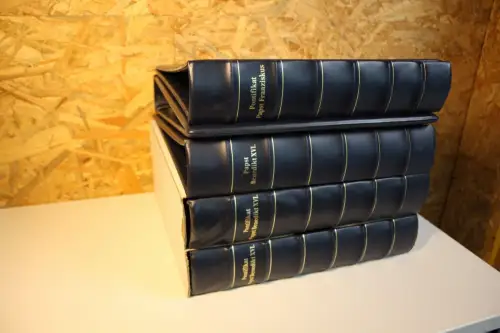 5 Borek Binder blau verschiedene Aufdrucke (33204)
