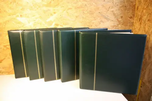 5 Safe Ringbinder grün 14 Ring (33252)