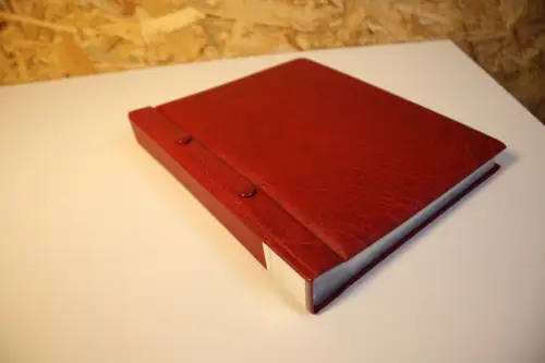 Bund BDPH Jahresausgaben 1979-2007 komplett (33447)