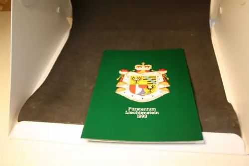 Liechtenstein Jahrgang 1993 komplett gestempelt (33528)