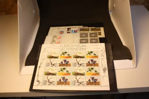 Liechtenstein 1994 Jahrgang Viererblock postfrisch komplett (33543)