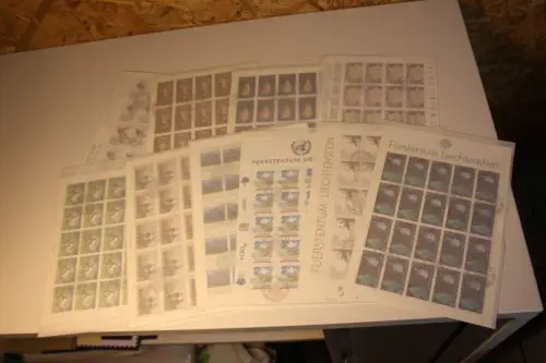 Liechtenstein Jahrgang 1991 Kleinbogen gestempelt komplett (33546H)