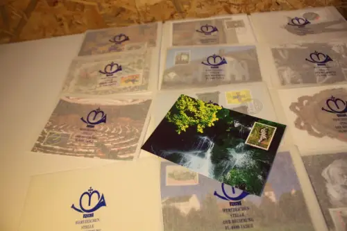 Liechtenstein Maximumkarten Jahrgang 2001 komplett (33589)