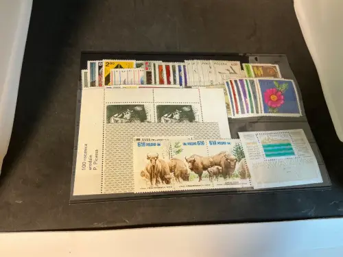 Polen Jahrgang 1981 postfrisch komplett (33992)