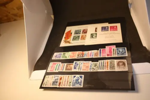 DDR Jahrgang 1955 postfrisch komplett (32957)