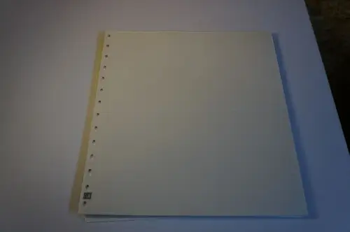 25 Safe Dual Blanko 2er (34206)