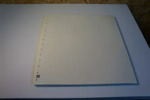 20 Safe Dual Blanko 2er (34205)