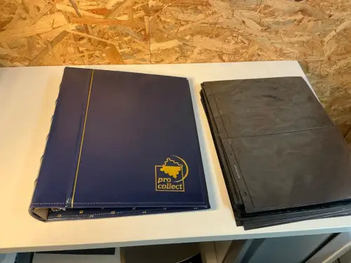 Pro Collect Album mit 30 Hüllen 2er schwarz (34499)