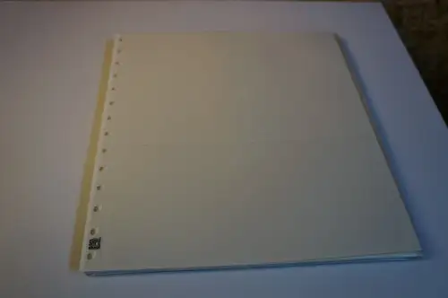 20 Safe Dual Blanko 3er für Zehnerbogen (34199)