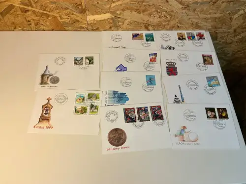 Luxemburg Jahrgang 1989 FDC fast komplett (34646)